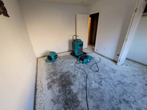 Best Ceiling water damage repair  in Dexter, NM