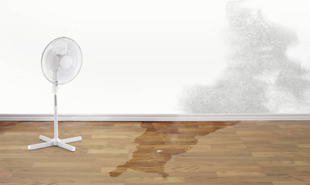 Best Fire Damage Restoration  in Dexter, NM