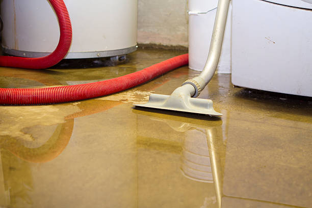 Trusted Dexter, NM Water damage restoration Experts