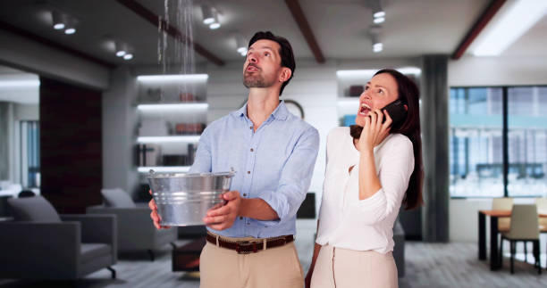 Carpet water damage restoration in Dexter, NM