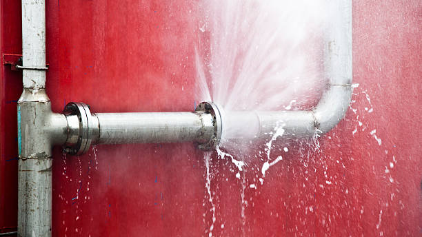 Best Mold removal after water damage  in Dexter, NM